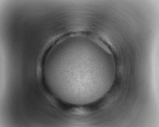 X0000096690688200802121232