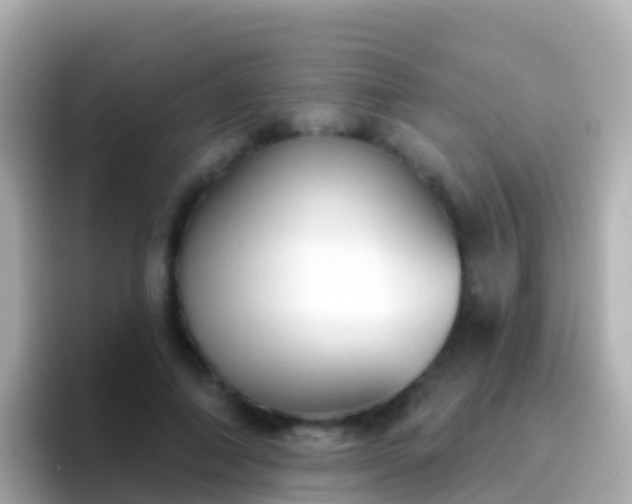 X0000096690690200802121232