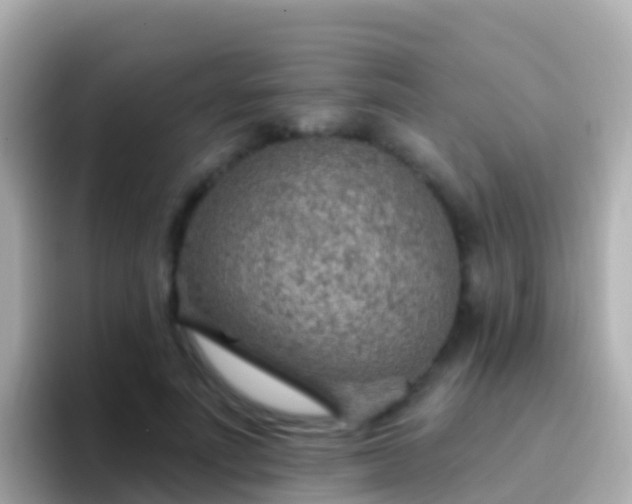 X0000096690691200802121232