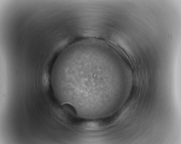 X0000096690692200802121232