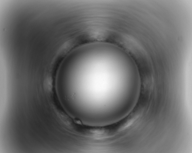 X0000096690693200802121232