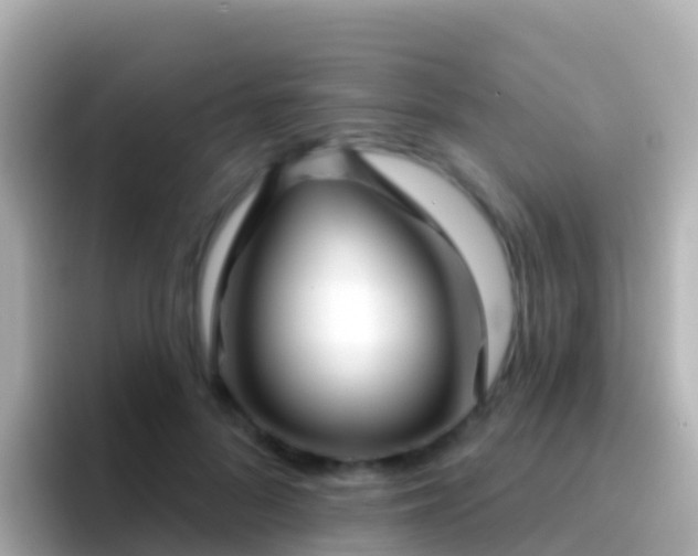 X0000096690696200802121232