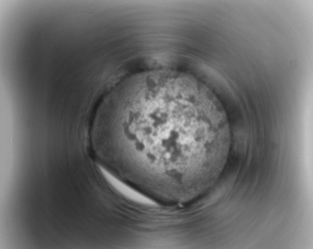 X0000096690699200802121232