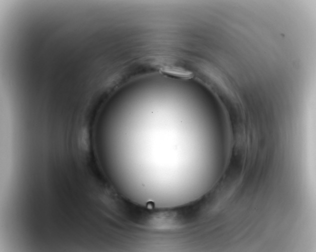 X0000096690700200802121232