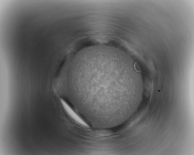 X0000096690707200802121232