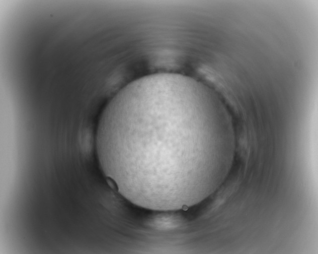 X0000096690708200802121232