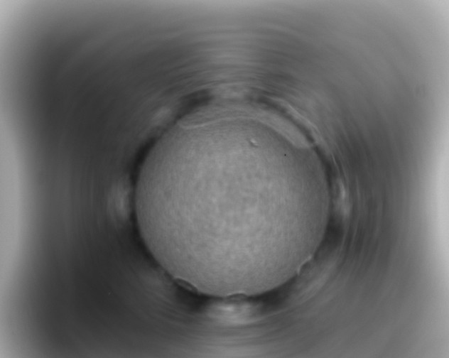 X0000096690712200802121232