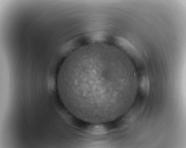 X0000096690715200802121232