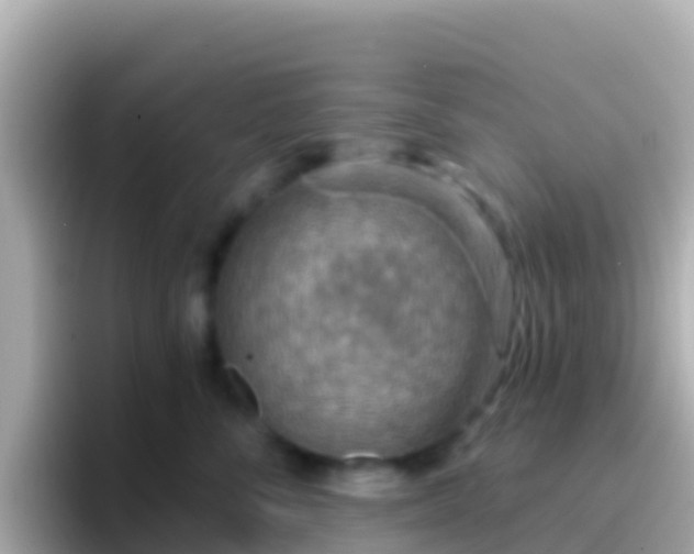 X0000096690716200802121232