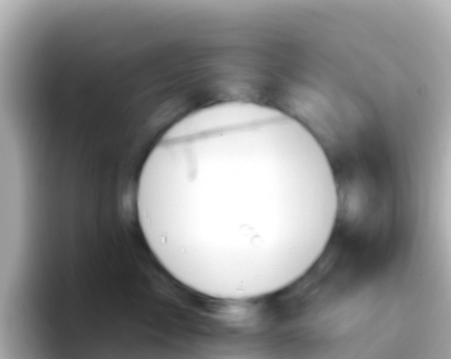 X0000096690717200802121232