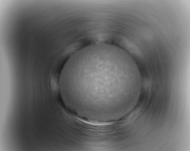 X0000096690719200802121232