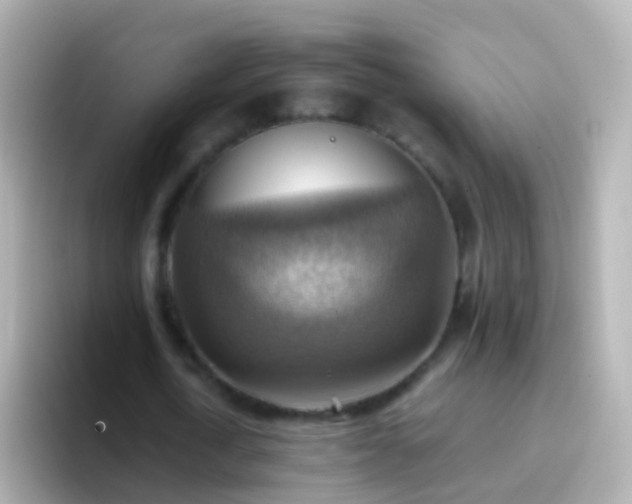 X0000096690722200802121231