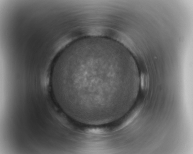 X0000096690723200802121231