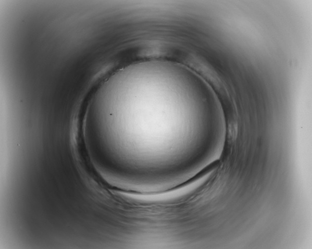 X0000096690724200802121231