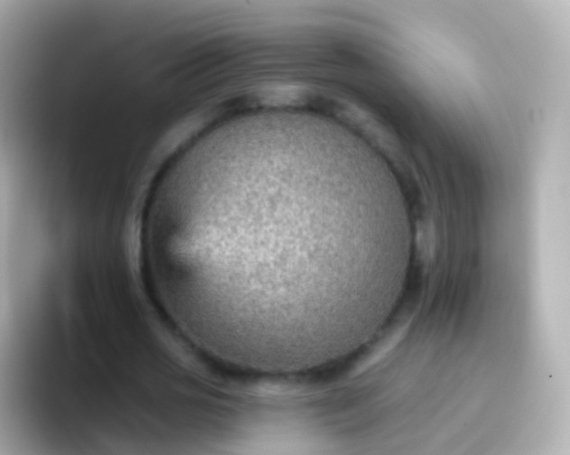 X0000096690725200802121231