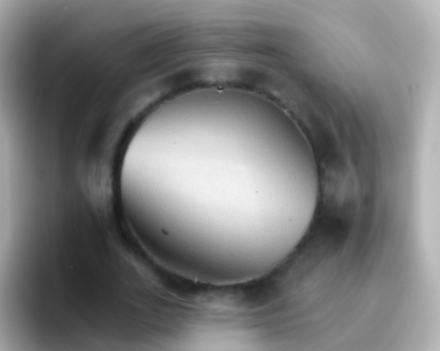 X0000096690727200802121232