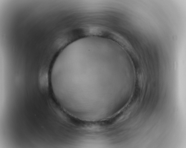 X0000096690729200802121232