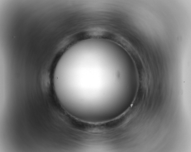 X0000096690731200802121232