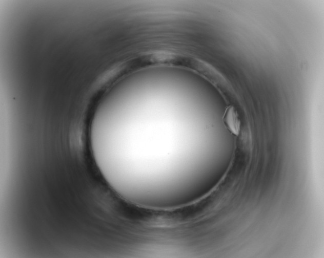 X0000096690732200802121232