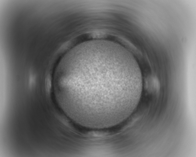 X0000096690733200802121232