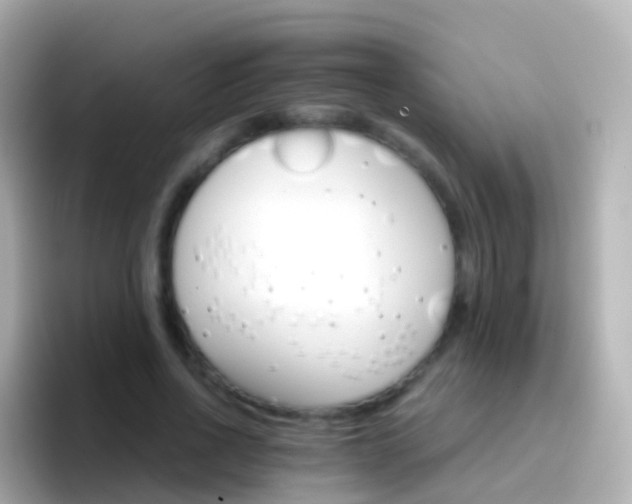 X0000096690734200802121232