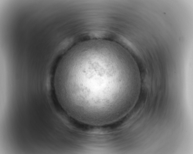 X0000096690738200802121232