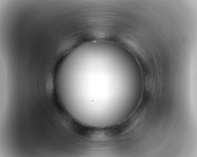 X0000096690740200802121232