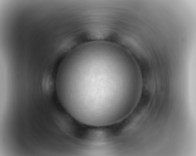 X0000096690743200802121232