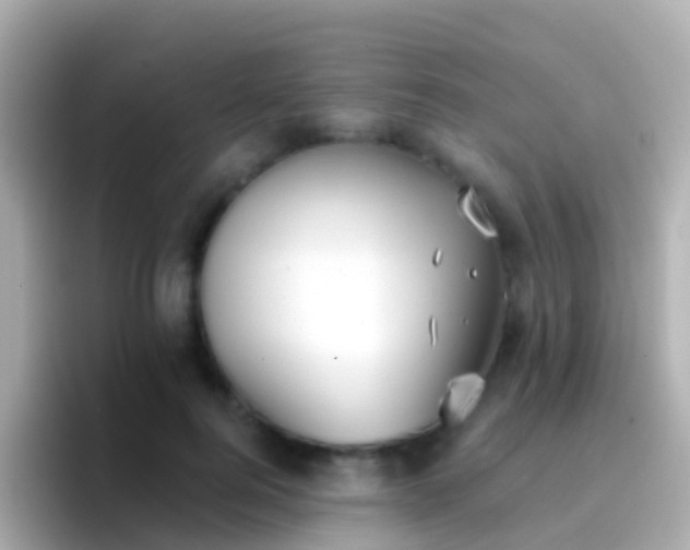 X0000096690744200802121232