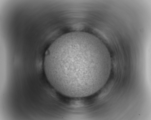 X0000096690745200802121232