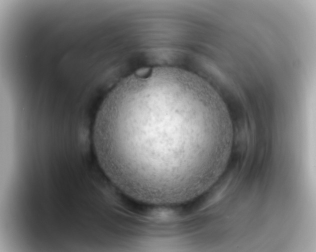 X0000096690749200802121232