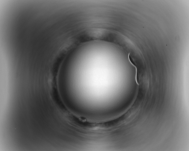 X0000096690750200802121232