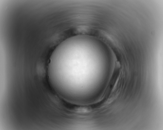 X0000096690751200802121232