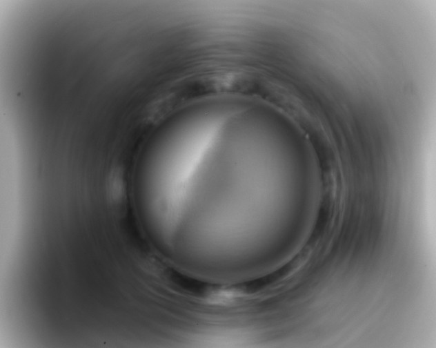 X0000096690754200802121232