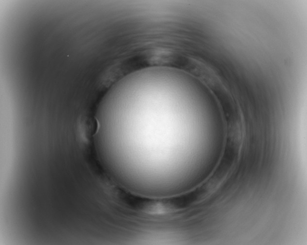 X0000096690755200802121232