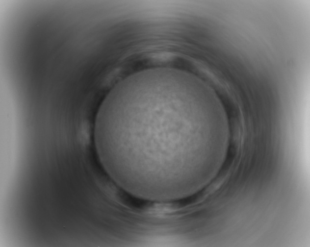 X0000096690758200802121232