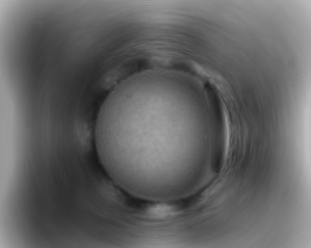 X0000096690759200802121232