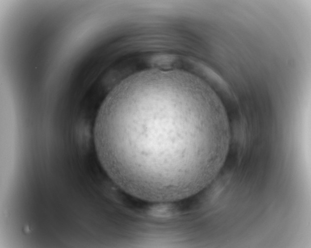 X0000096690761200802121232