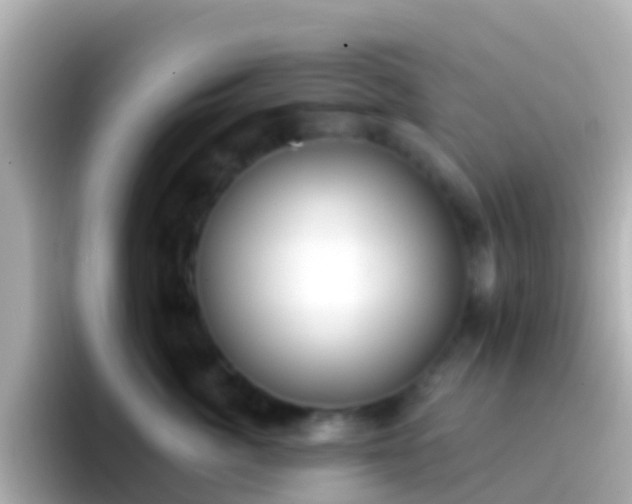 X0000096690764200802121232