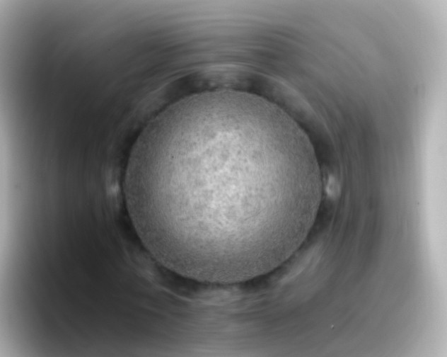 X0000096690771200802121231