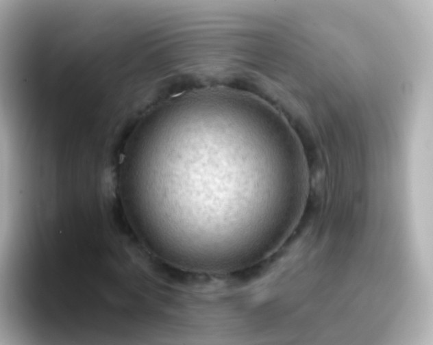 X0000096690772200802121231