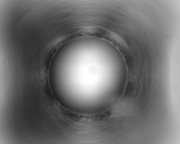 X0000096690773200802121231