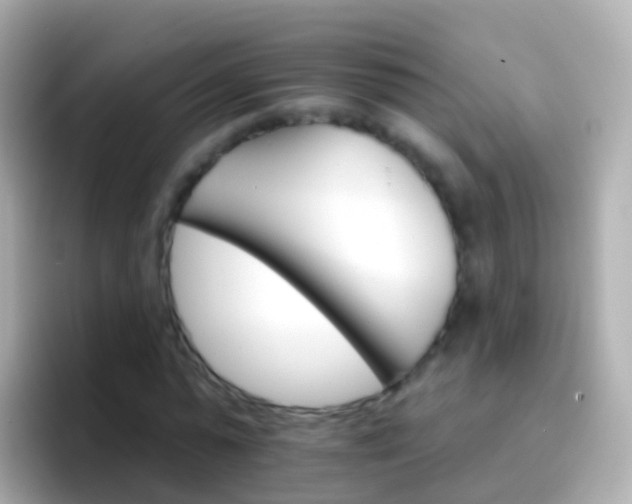 X0000096690775200802121231