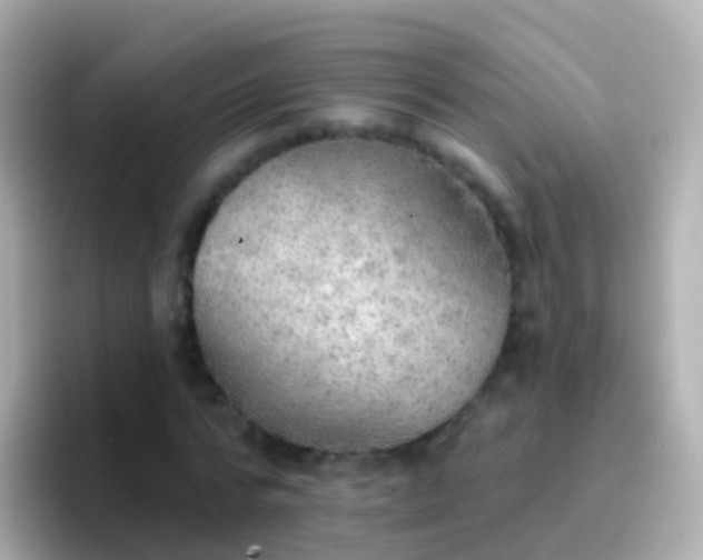 X0000096690776200802121231