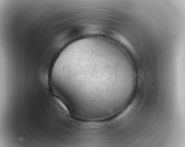 X0000096690777200802121231