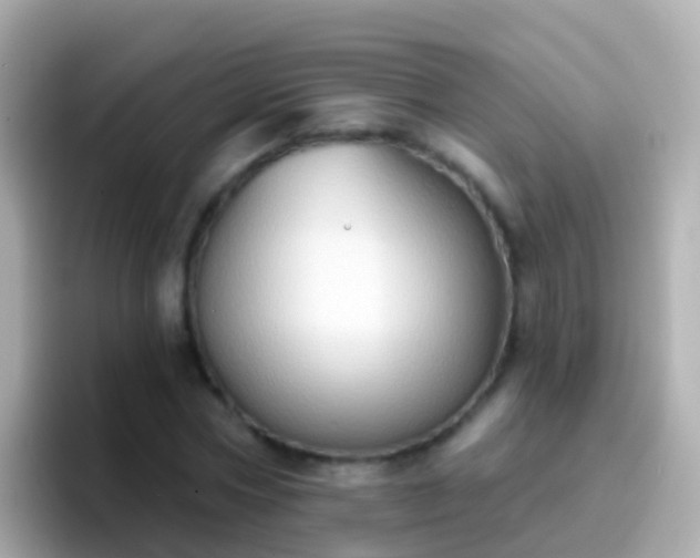 X0000096690778200802121231