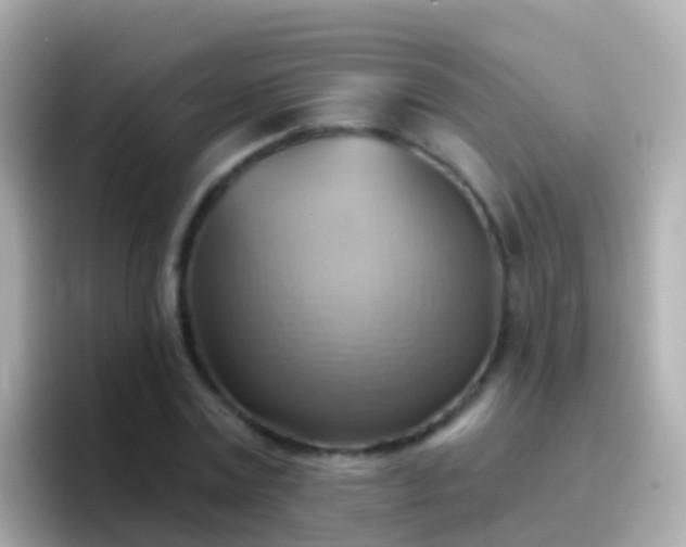 X0000096690779200802121231