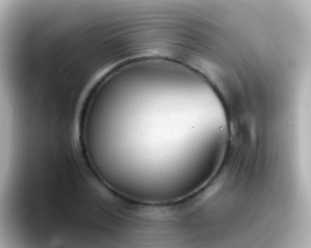 X0000096690780200802121231