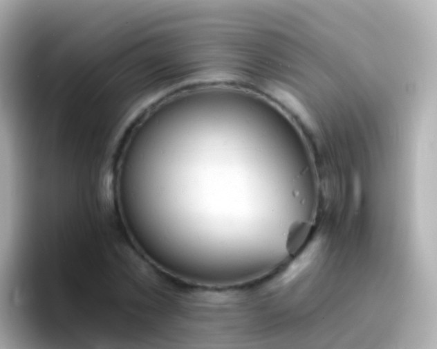 X0000096690781200802121231