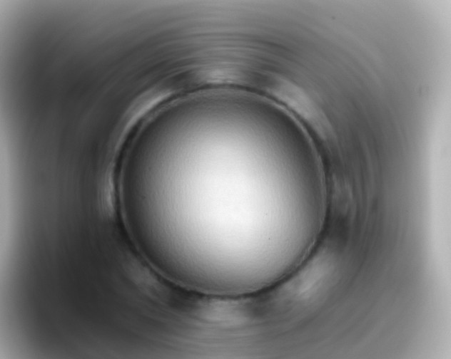 X0000096690782200802121231